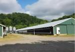Poultry Steel Frame Prefab House Automatic Broiler Chicken Farming Equipment