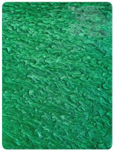 Quality Green Pearl Cast Acrylic Perspex Panels For Doors Windows wholesale