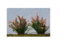 flower tree----model trees，miniature artifical tree，architectural model