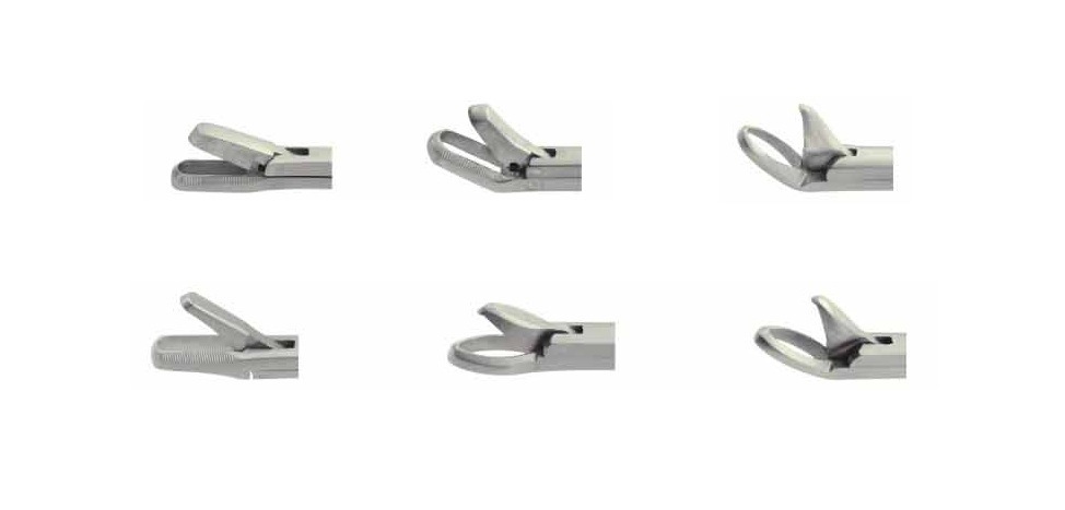 Nasal Punch Forceps Cutting Forceps of Nasal Ethmoid