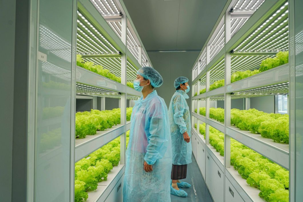 Smart and High Quantity Hydroponic System Container Farm for Sale