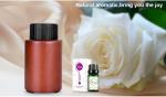 Car 3MHz 0.5W 10ml Essencial Oil Aromatherapy Diffuser