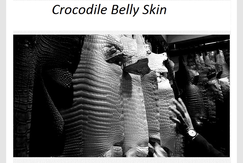 Authentic Crocodile Belly Skin Women Small Orange Purse Lady Chain Handbag Genuine Alligator Leather Female Shoulder Bag