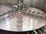 Polyphenol Continuous Vacuum Drying Machine , Industrial Vacuum Dryer Machine