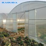 High Tunnel Vegetables Planting Single Span Vegetable Tunnel Plastic Film