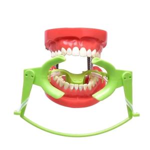 Quality Dry Field System Adjustable Orthodontic Cheek Retractors Dental With Suction wholesale
