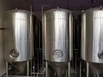 20BBL Conical Fermentation Tank