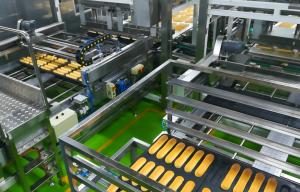 Quality CE Sourdough Bread Production Line wholesale