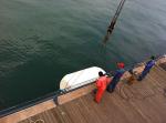 Cruise Terminal White Foam Fender 1200mm Dia 2000mm Length