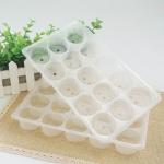 Dumpling Transparent 23*14*3.5cm Frozen Food Tray Packaging
