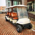 30mph 8 Passenger Golf Cart Street Legal Carts With LED Headlights