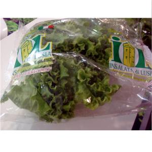 Quality Vegetable Salad OPP Packaging Bag Biodegradable Printed Self Adhesive wholesale