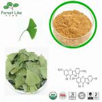 Water Soluble Top Sale 100%Herbal Medicine Ginkgo Biloba Leaf Extract