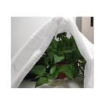 Packaging Fabric Nonwoven Mat Agricultural Non-woven Fabric Polyester Nonwoven