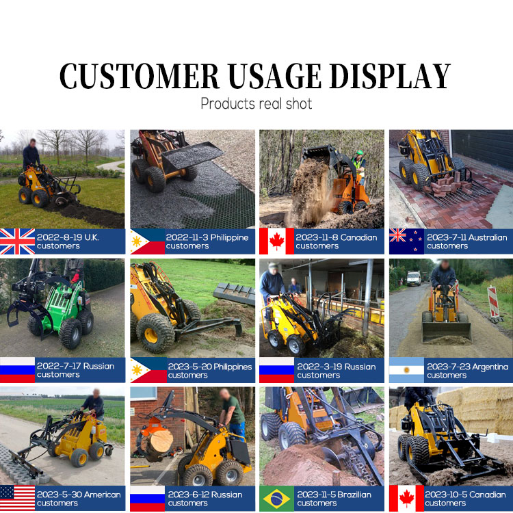 Professional Mini Skid Steer Loader with Strong Loading Capacity and HQ Hydraulic Cylinder