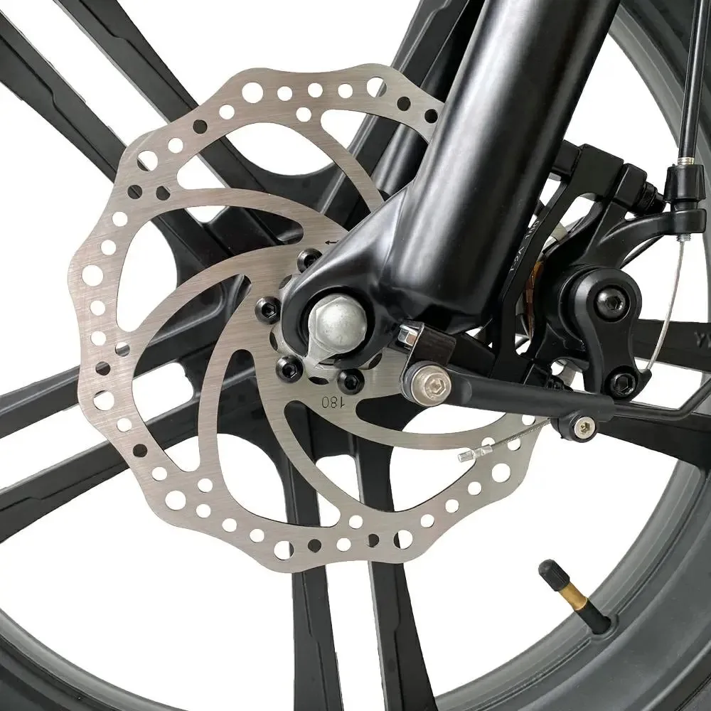 2 Wheel Electric Fat Tire Bike 48V 500W Aluminum Alloy 20 Inch Fat Tyre Electric Bike