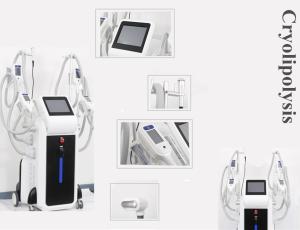 Quality OEM and ODＭ service body slimming cryoliplysis fat reduction machine wholesale