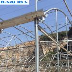 Steel Structure Polythene Grow Tunnel For Tomato And Cucumber