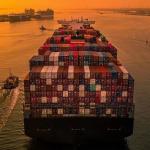 FCL LCL Professional Container International Sea Freight From China For