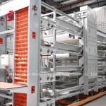 Reliable Chicken Battery Poultry Layer Cage 7 Tiers Iris