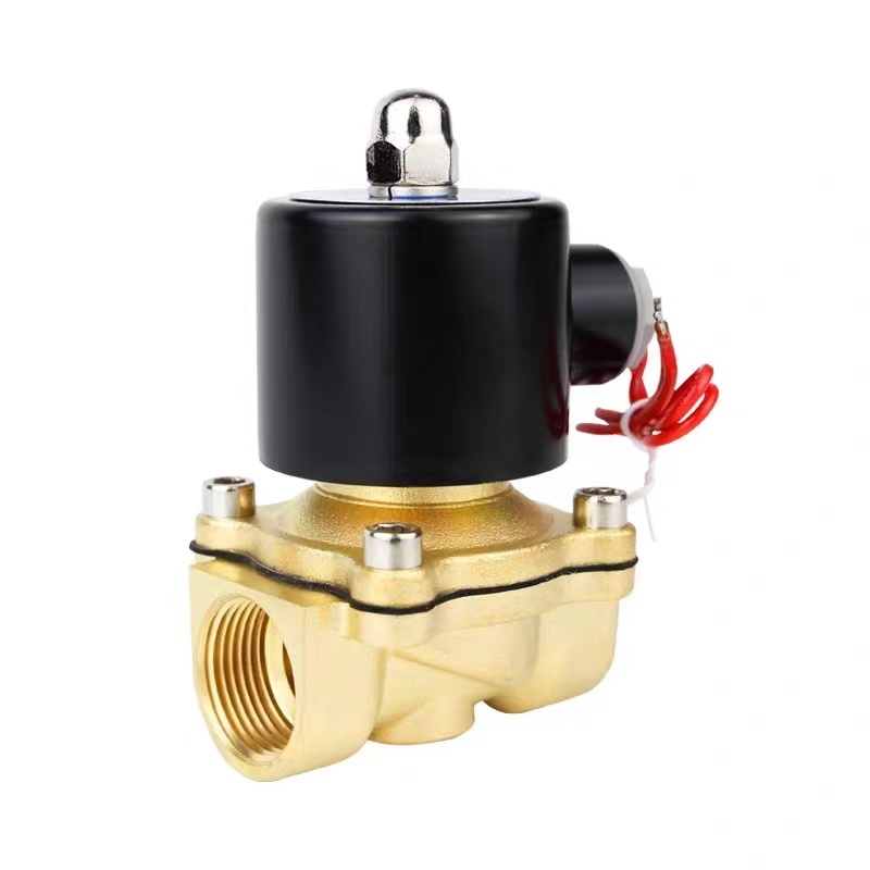 2W Normally Closed Brass Electric Magnetic Valve DC 12V 24V AC 220V