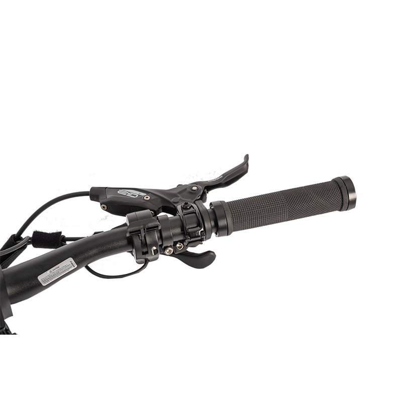 Adult and Child Mountain Fat Tire Ebike with Smart Type Sensor Charging Time 3 Hours