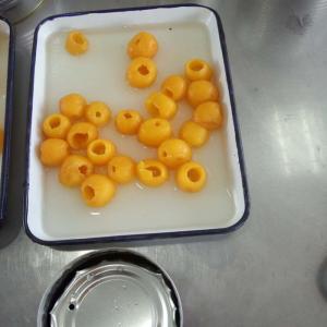 Quality Crop Fresh Canned Fruit Canned Loquats In Syrup 425G 567G 800G 3000G wholesale