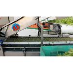 Rice and Alfalfa 8% Discount Microgreens Harvester 1350mmx850mmx950mm with