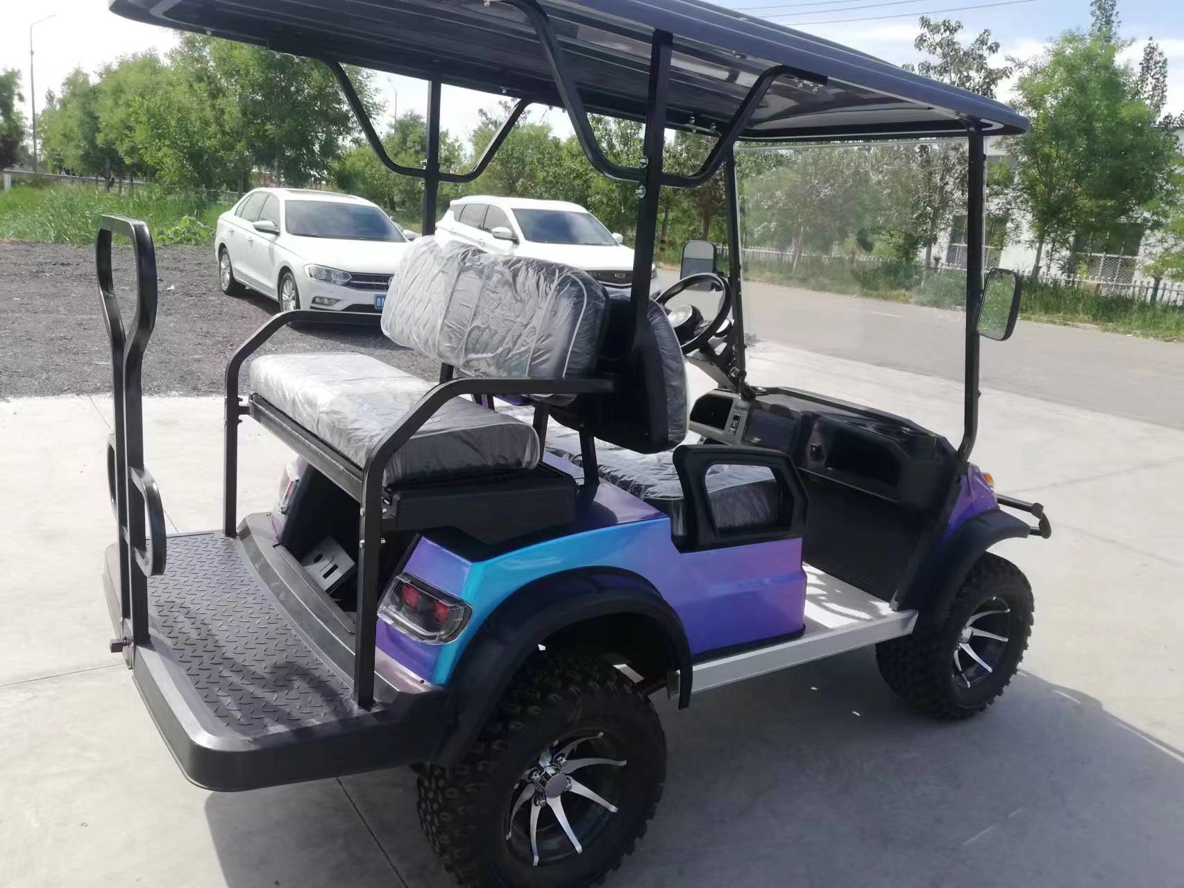 Blue Purple Color 4 Seater Golf Cart New Design Motor Depot AC Motor 3.5kw Wheelbase 2300mm