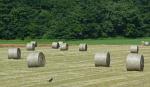 HDPE Well-Knitted White Bale Wrap Net