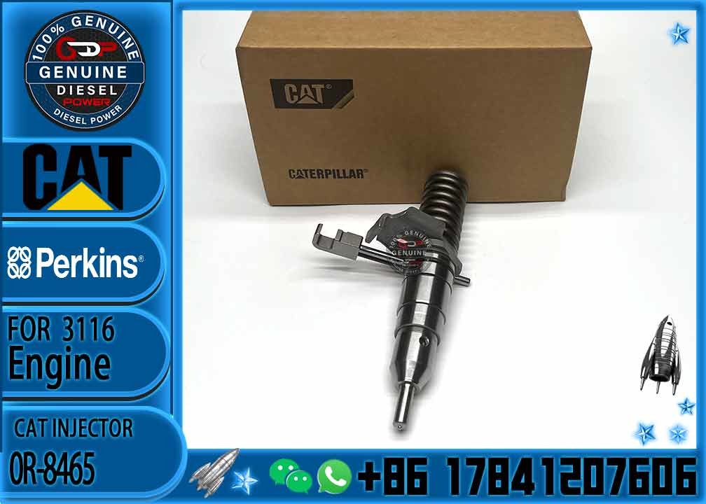 CAT Injectors 3116 Diesel Injector 0R-8465 127-8216 127-8228 127-8230 162-0212 162-0218 418-8820 0R-8461