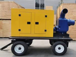 Quality ISO Diesel Water Pump Set Diesel Motor Pump For Floodwater Prevention wholesale