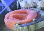 Professional Dental Practice Milled Acrylic Denture with CAD/CAM Technology