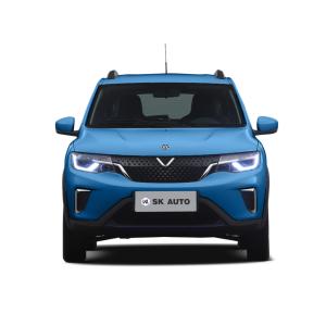 Quality DONGFENG VENUCIA E30 Automobile EV 301km Long Range Electric SUV wholesale