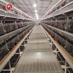 380V 3phase Farm Layer Chicken Cage For Laying Hens SGS Approval