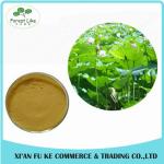 Chinese Herb Medicine Loss Weight Product Lotus Leaf Extract Powder
