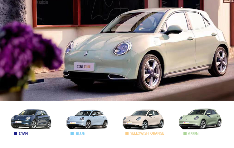 Ora Women's Cars 2024's Electric Car with Roof Rack and Electronic Stability Control