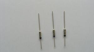 Quality Non-Resettable Thermal Cutoff Fuse CSRY01 one shot 250V 10A wholesale