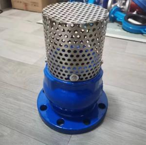 Quality GGG50 PN10/16 cast iron foot valve wholesale