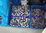 ASTM A815 UNS S32750 / UNS S32760 Super Duplex Stainless Steel Elbow 45 Deg /