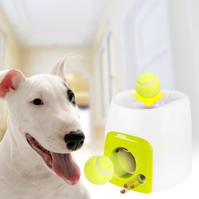 Eco Friendly PP Dog Interactive Training Feeding Machine