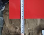 CGCC RAL6019 PPGI Pre Painted Steel Sheet Gi Colour Coated Sheet
