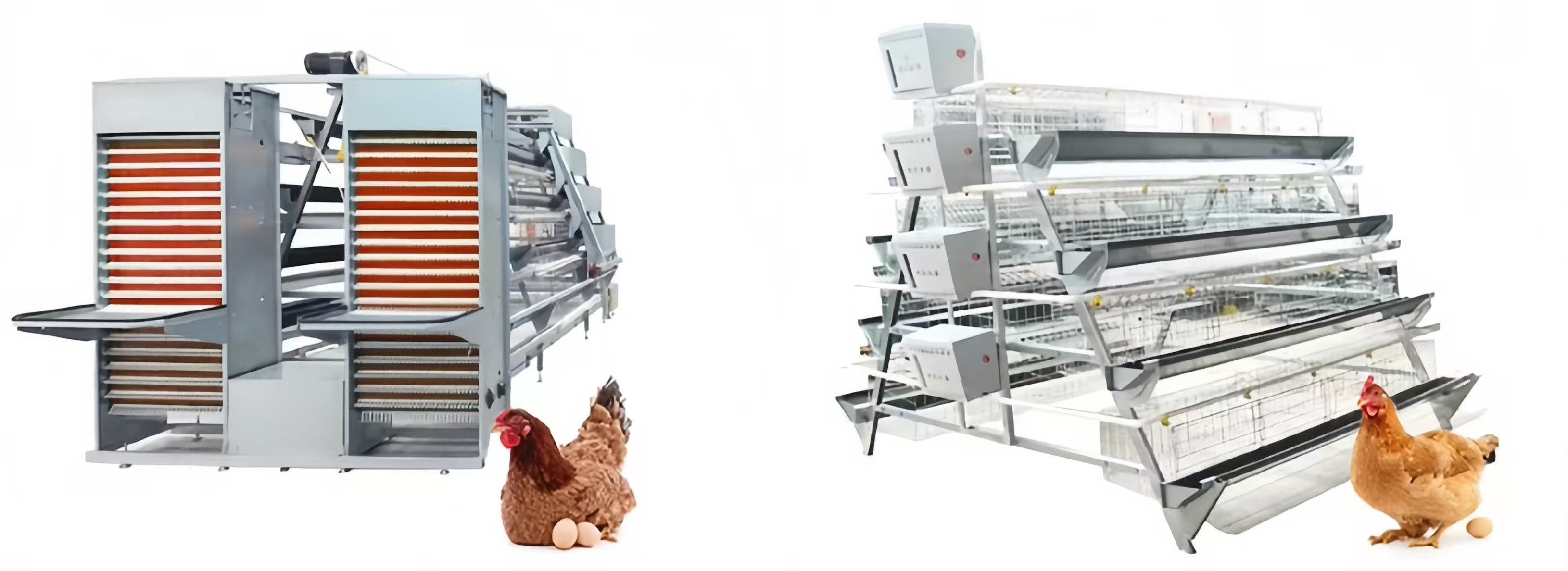 Animal Feeding Chicken Layer Cages 8 Tiers 9 Tiers H Type Layer Hen Cage