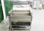 GELGOOG Seafood Fish Washing Cleaning Machine Stainless Steel 8-15 Brush