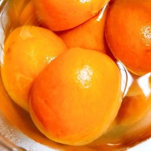 Quality Canned Apricot wholesale