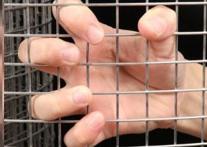 Quality Building 6mm Wire Mesh Panels Ss316 Silver Galvanised wholesale