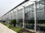 Sound Insulating Commercial Glass Greenhouse Good Display Effect Beautiful