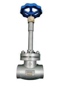 Quality Stainless Steel PN64 DN50 Cryogenic Globe Valve wholesale