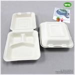 8x8 Inch Three Compartments Compostable Sugarcane Fiber Disposable Lunch Box