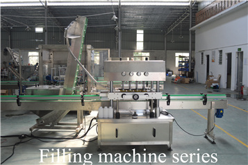 Video Technical Support After Service Automatic Label Applicator for Pouch Packaging